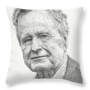 41 - Throw Pillow