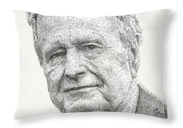 41 - Throw Pillow